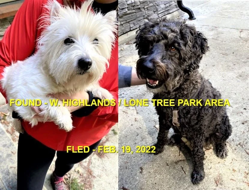 HAPPY ENDINGS - HIGHLANDS BC / FEB 19, 2022