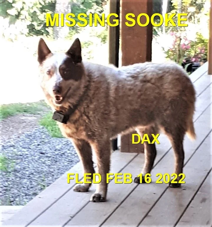 HAPPY ENDINGS - SOOKE BC / DAX / FEB. 16, 2022