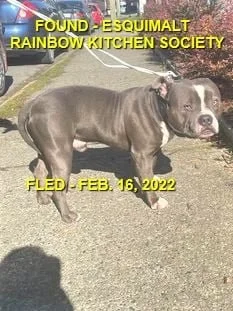 GONE TO SHELTER - ESQUIMALT BC / FEB. 16, 2022