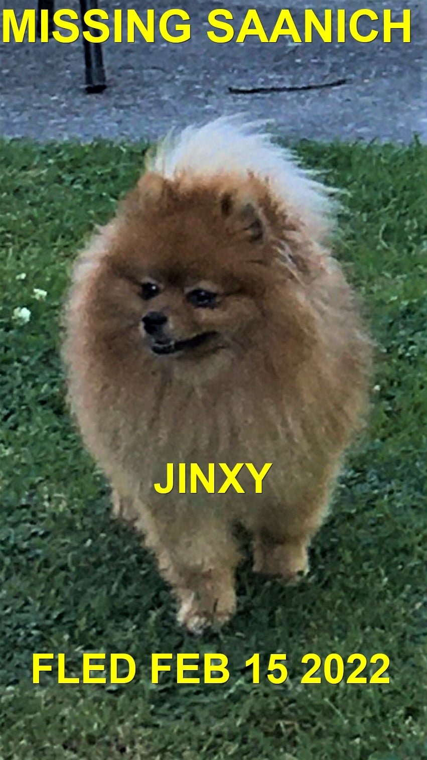 HAPPY ENDINGS - SAANICH BC / JINXY / FEB. 15, 2022