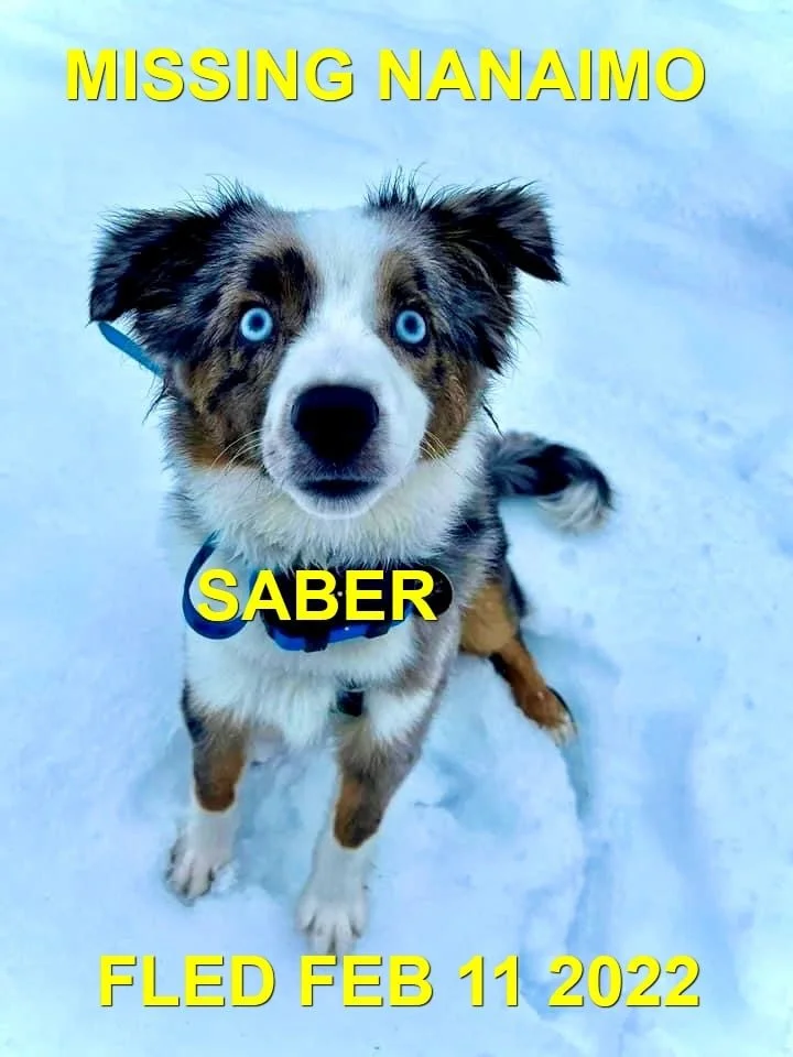 HAPPY ENDINGS - NANAIMO BC. / SABER / FEB. 11, 2022