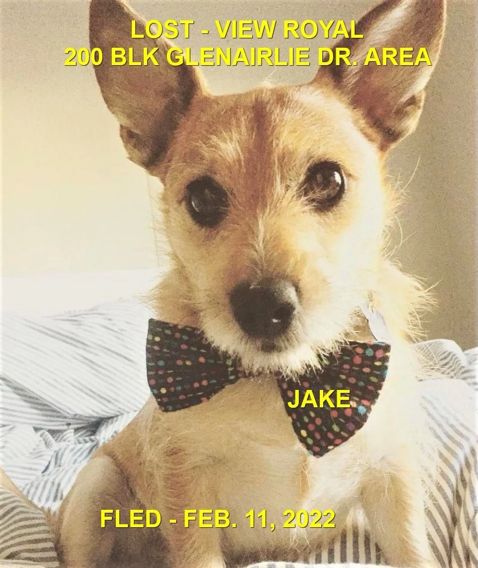 HAPPY ENDINGS - VIEW ROYAL BC / JAKE / FEB 11, 2022