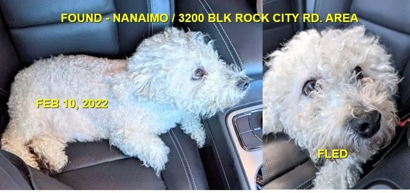 HAPPY ENDINGS - NANAIMO BC. / FEB 10, 2022