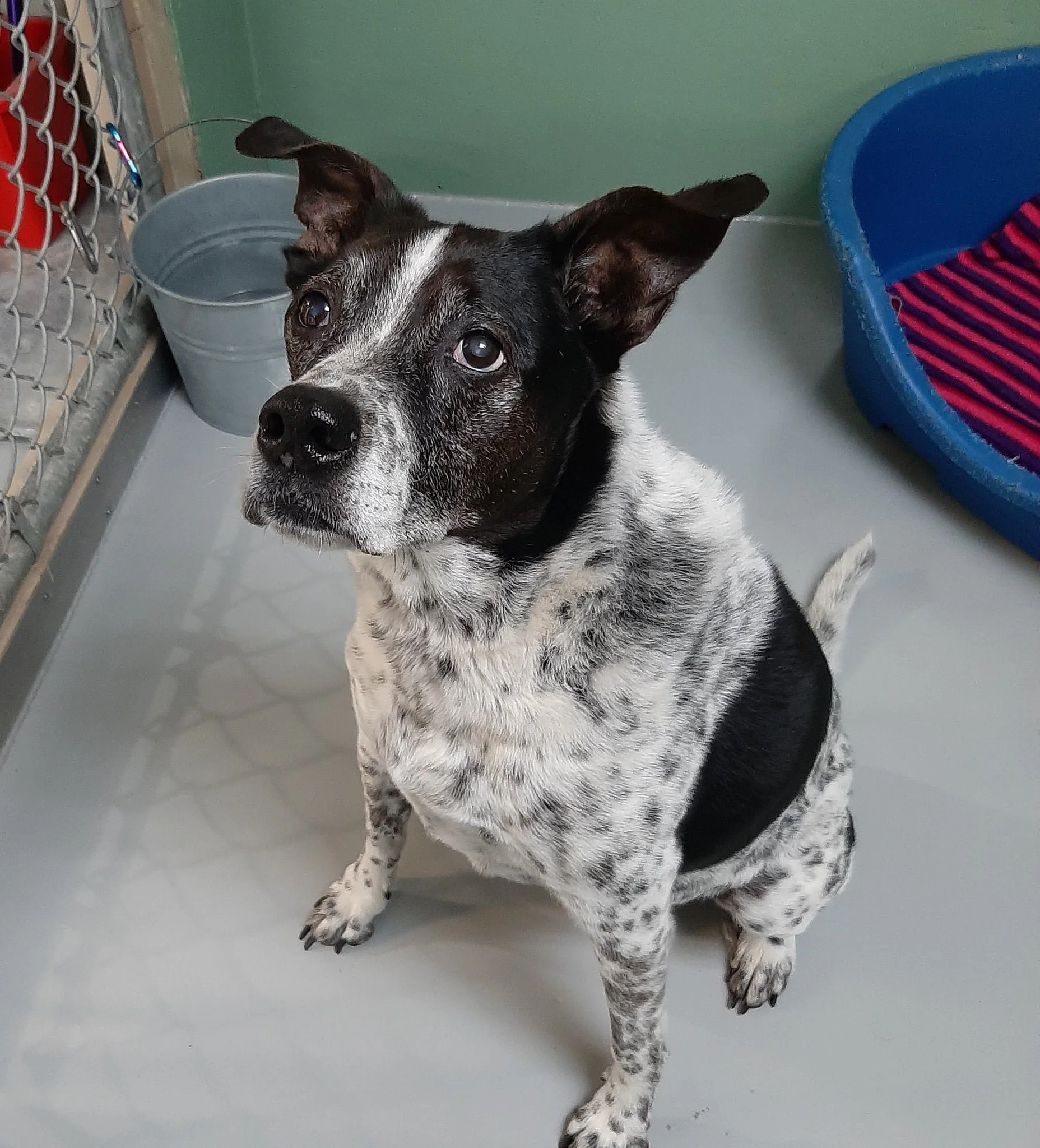 HAPPY ENDINGS / GONE TO SHELTER - VICTORIA BC / BLUE / FEB 10, 2022