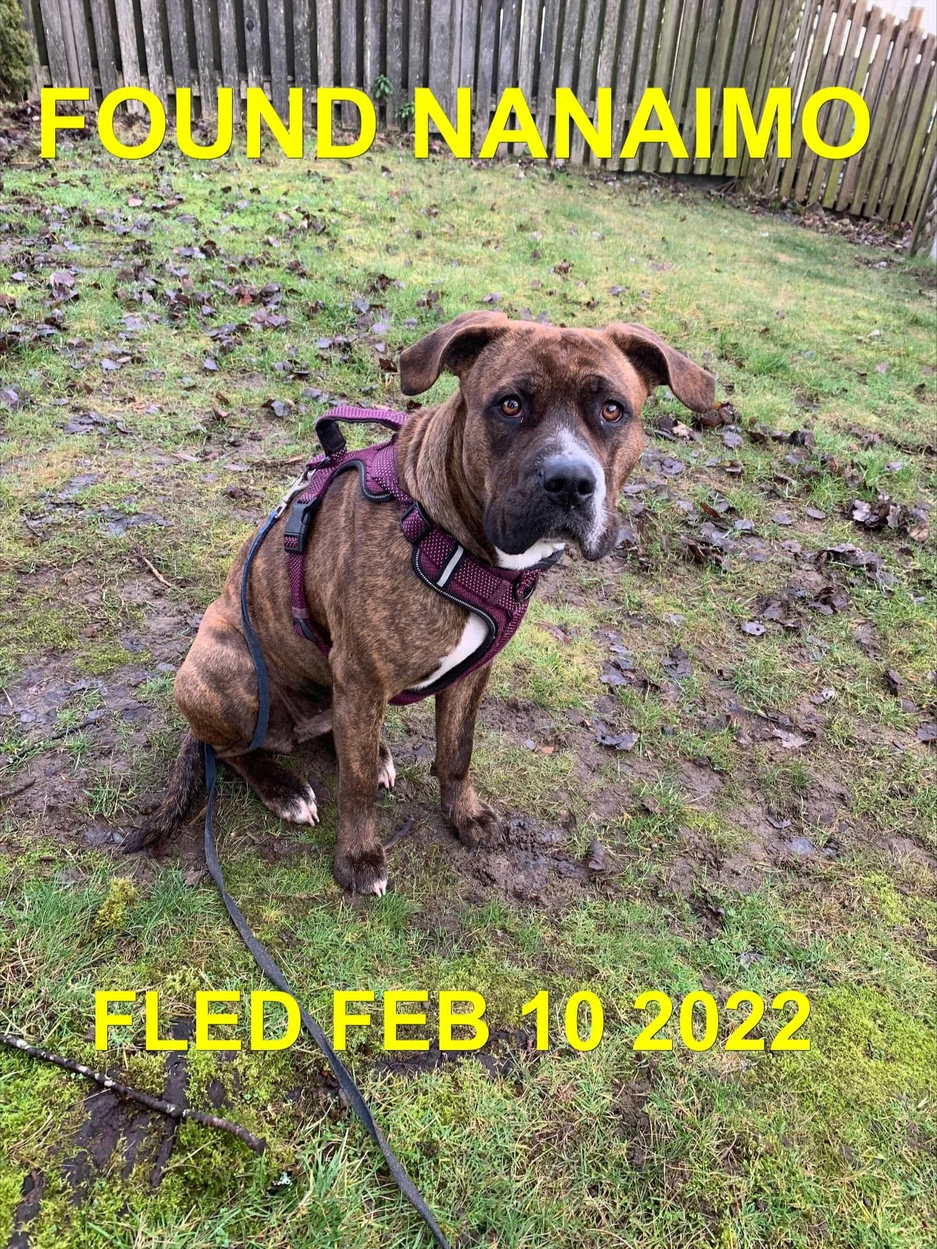 HAPPY ENDINGS - NANAIMO BC. / FEB. 10, 2022