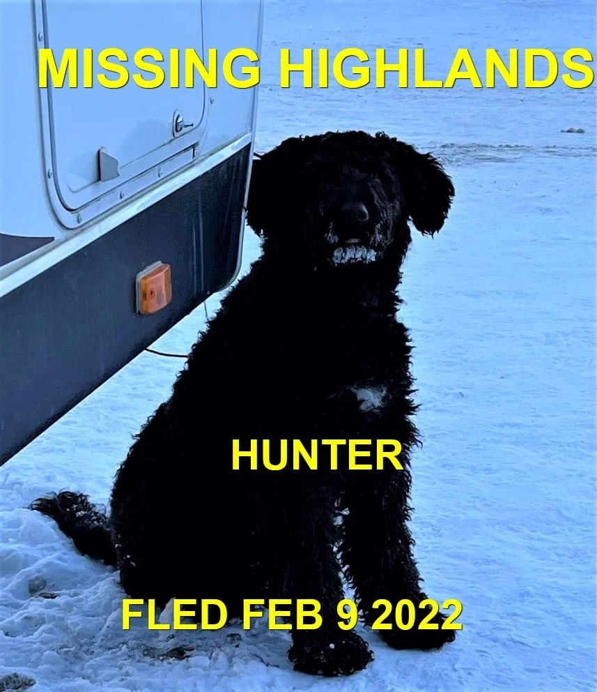 HAPPY ENDINGS - HIGHLANDS BC / HUNTER / FEB 9, 2022