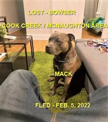 OVER THE RAINBOW BRIDGE - BOWSER BC / MACK / FEB 5, 2022