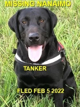 HAPPY ENDINGS - NANAIMO BC. / TANKER / FEB 4, 2022