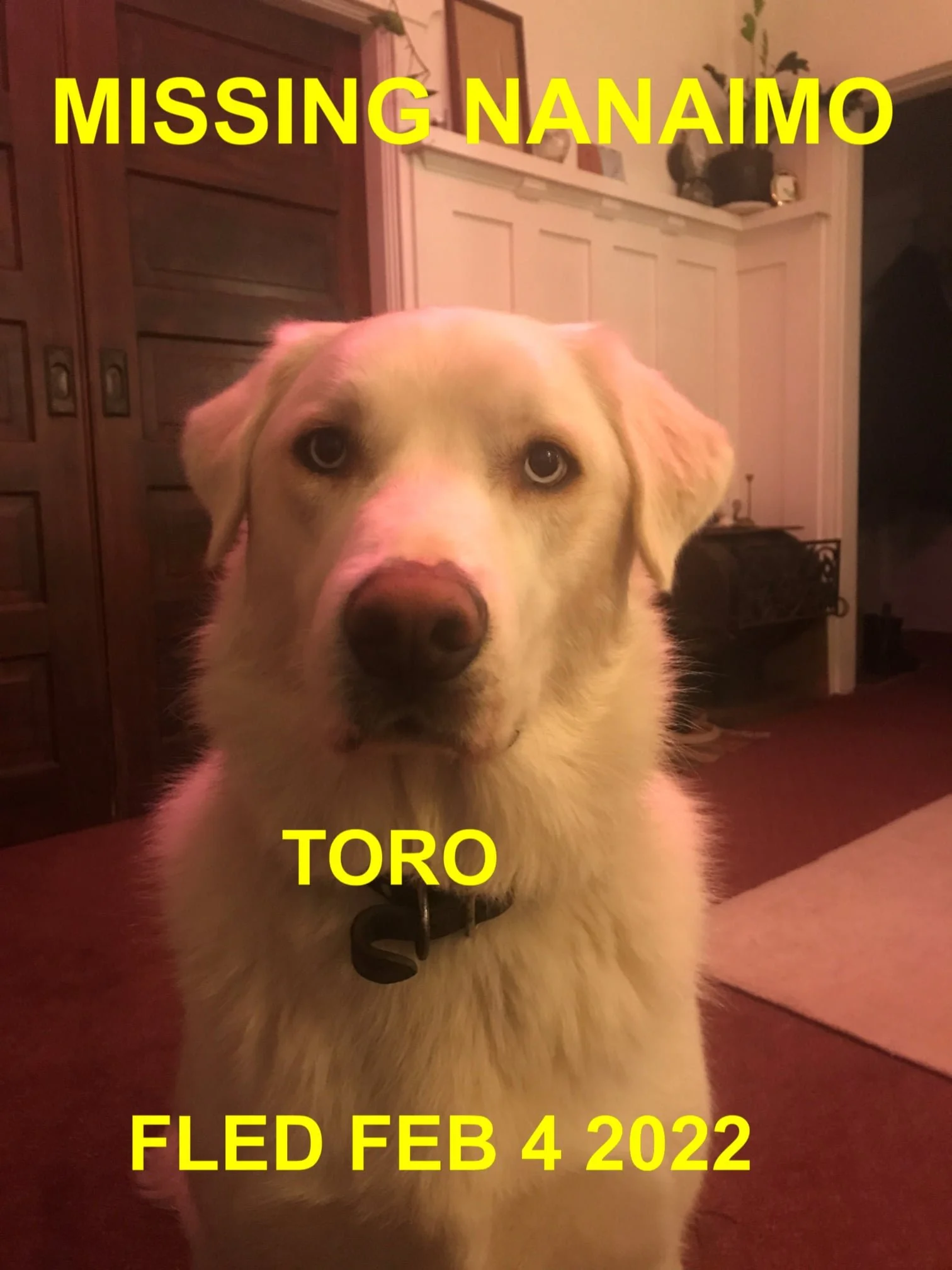 HAPPY ENDINGS - NANAIMO BC. / TORO / FEB. 4, 2022