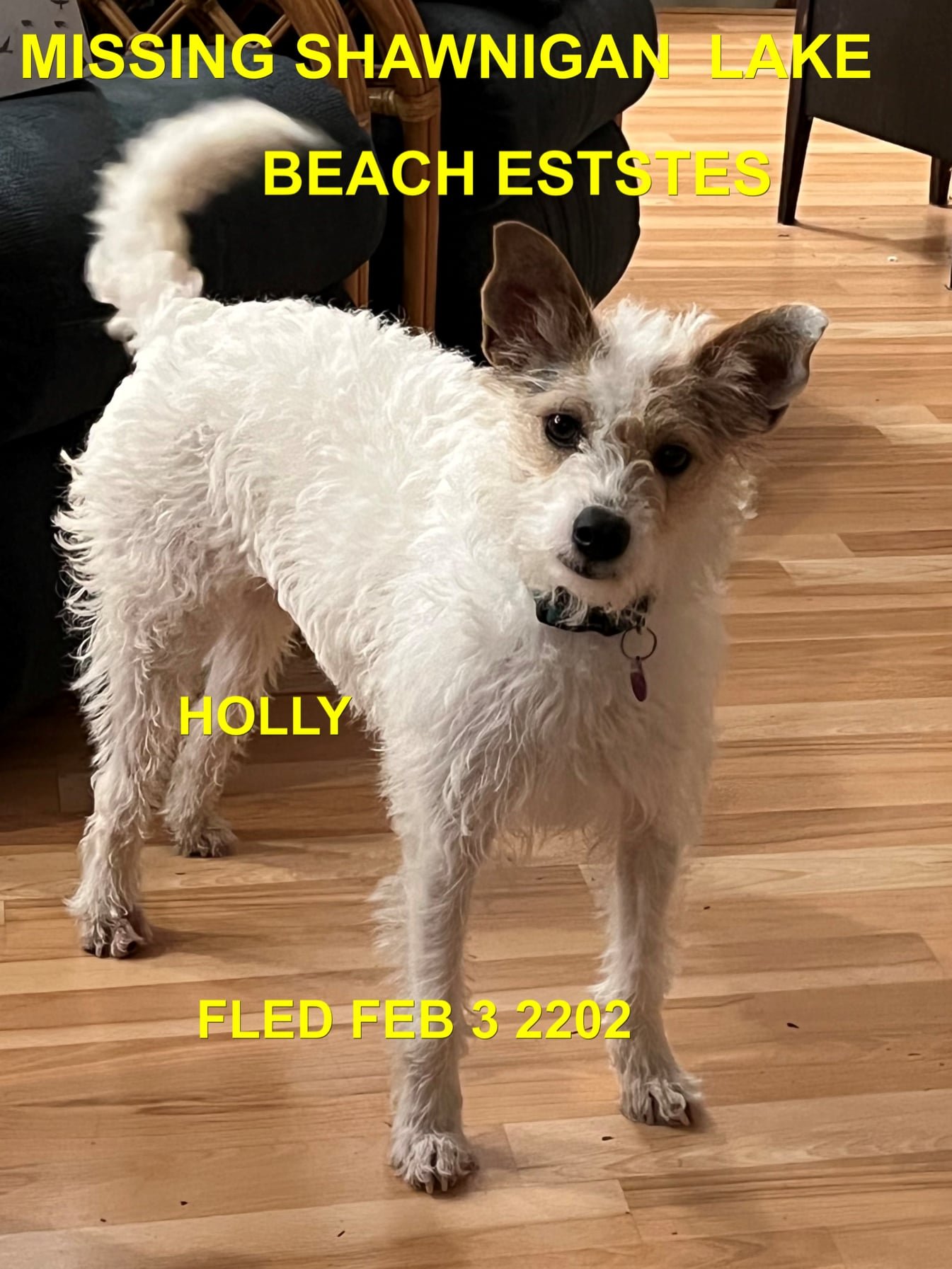 TRAPPED - HAPPY ENDINGS - SHAWNIGAN BC. / HOLLY / FEB 3, 2022