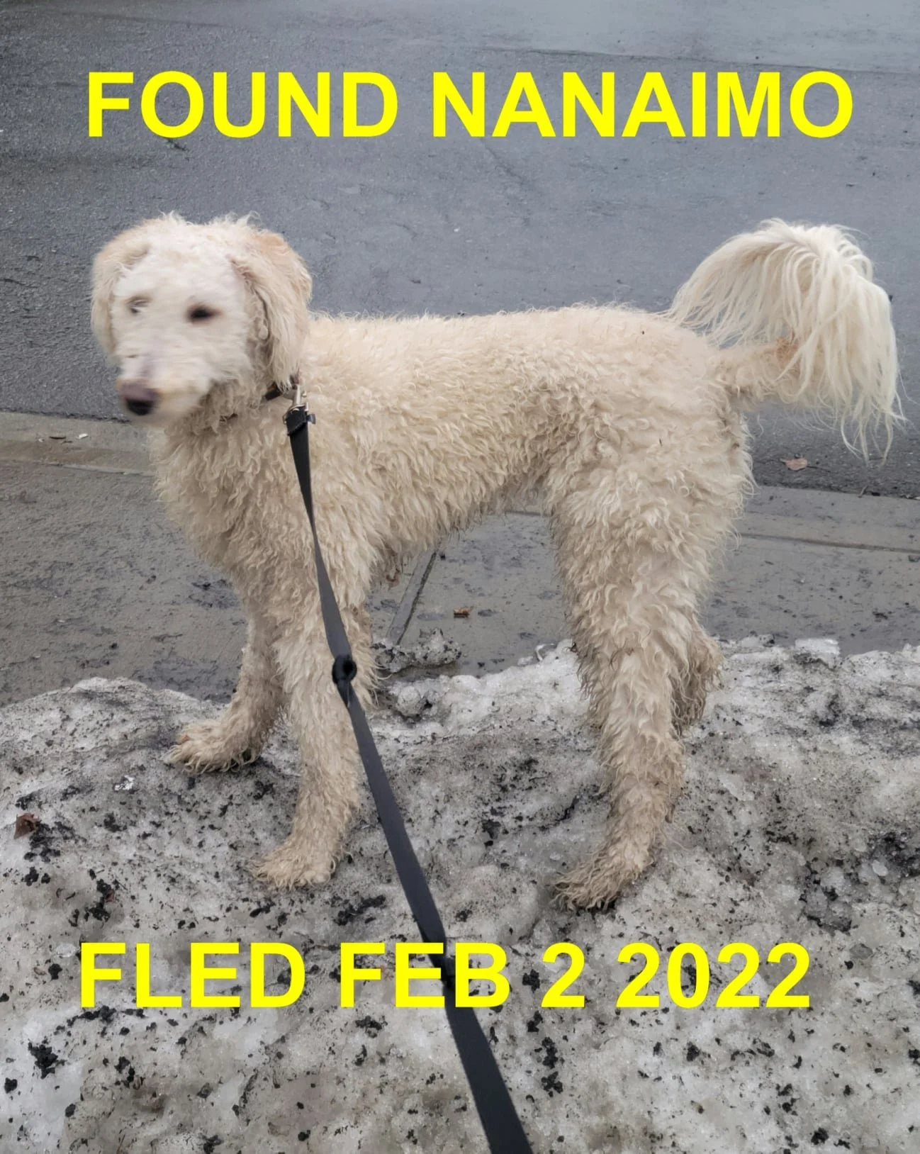 HAPPY ENDINGS - NANAIMO BC / FEB. 2, 2022