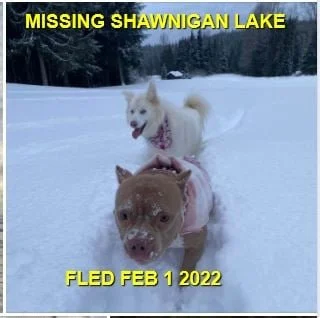 HAPPY ENDINGS - SHAWNIGAN LAKE BC / AURORA &amp; PANDORA / FEB. 1, 2022