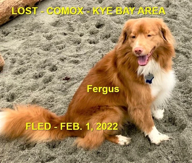 HAPPY ENDINGS - COMOX BC / FERGUS / FEB 1, 2022