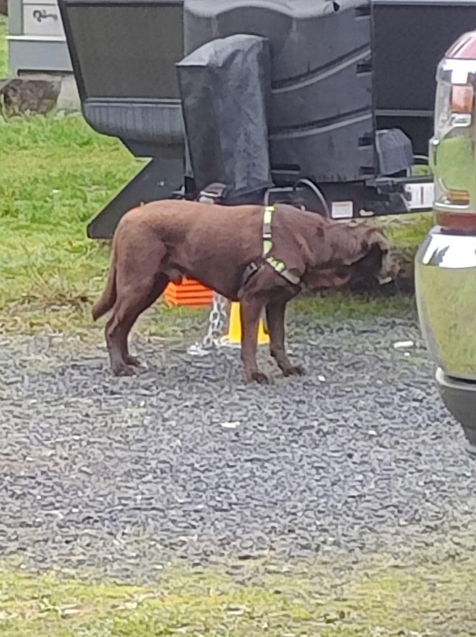 HAPPY ENDINGS - SOOKE BC / FEB. 1, 2022