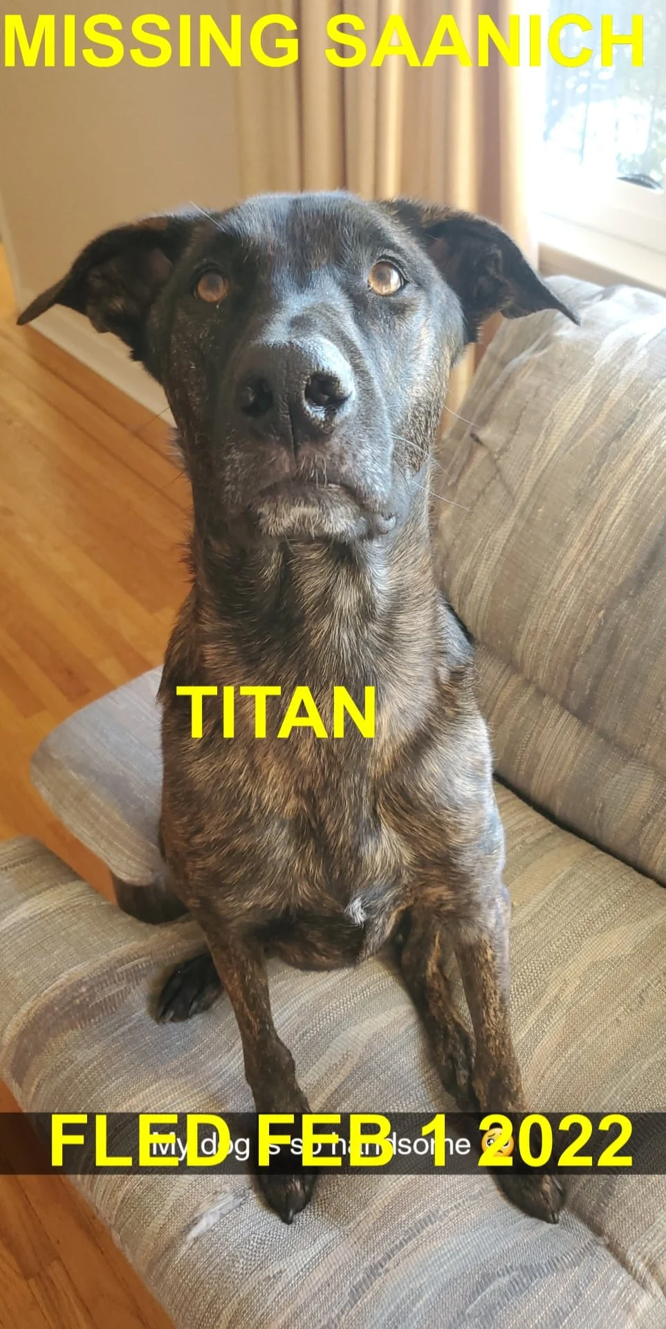 HAPPY ENDINGS - SAANICH BC. / TITAN / FEB 1, 2022