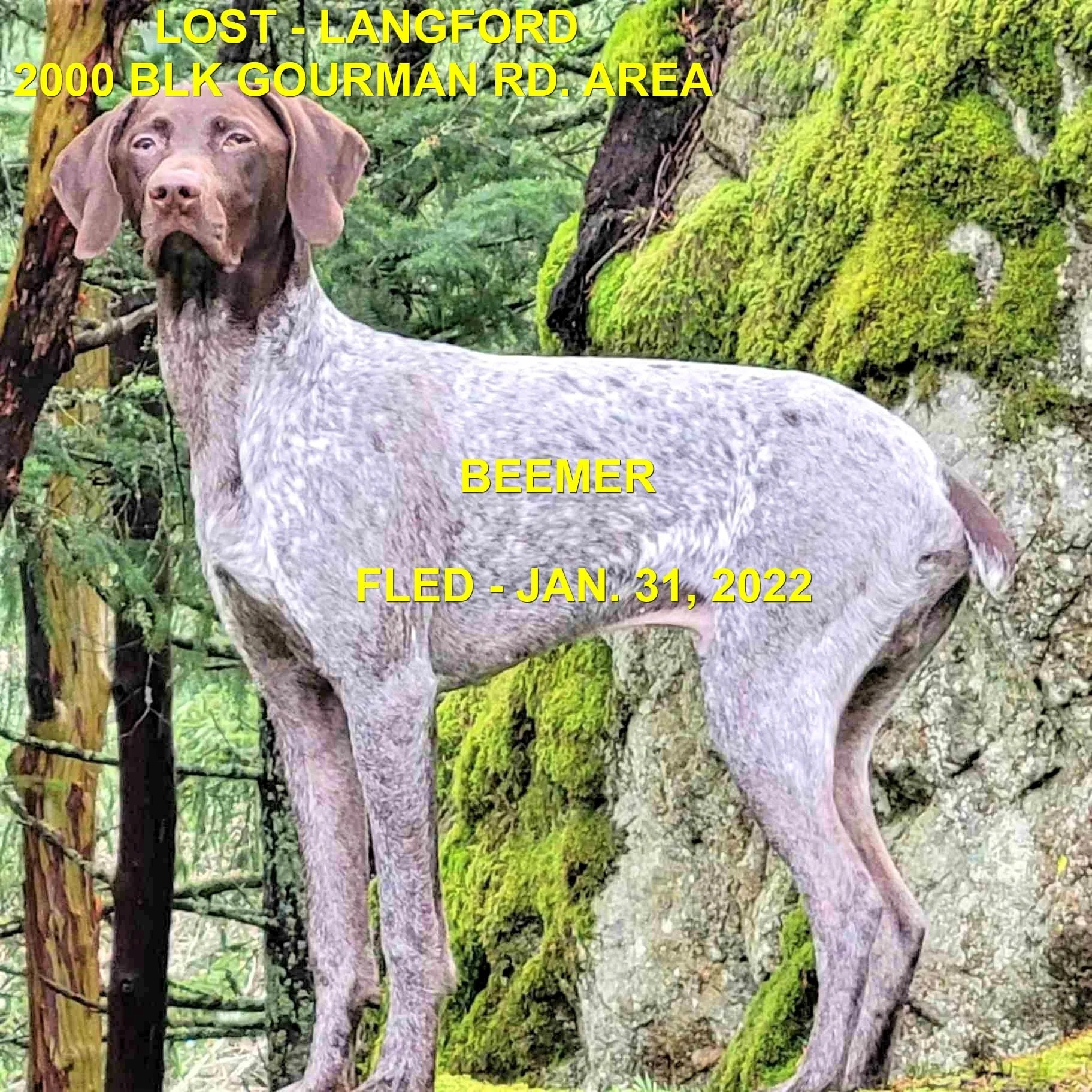 HAPPY ENDINGS - LANGFORD BC / BEEMER / JAN 31, 2022