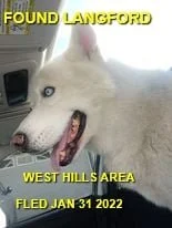 HAPPY ENDINGS - LANGFORD BC. / JAN 31, 2022