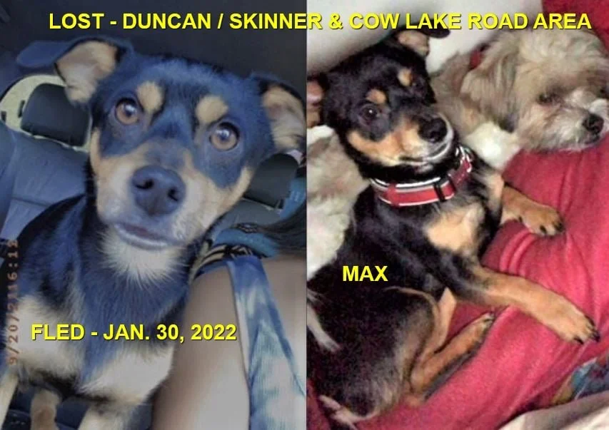 HAPPY ENDINGS - DUNCAN BC / MAX / JAN 29, 2022