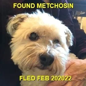 HAPPY ENDINGS - METCHOSIN BC / FEB. 20, 2022