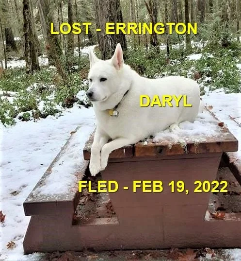 HAPPY ENDINGS - ERRINGTON BC. / DARYL / FEB 19, 2022