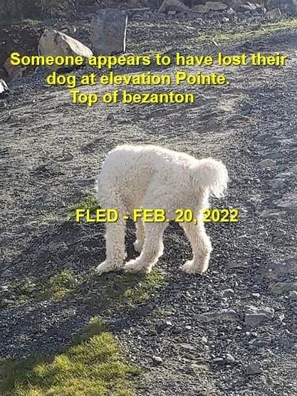 HAPPY ENDINGS - COLWOOD BC. / FEB 20, 2022