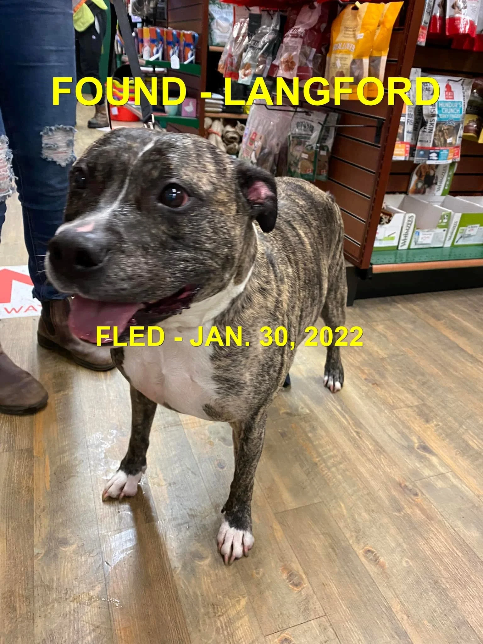 HAPPY ENDINGS - LANGFORD BC. / JAN 30, 2022