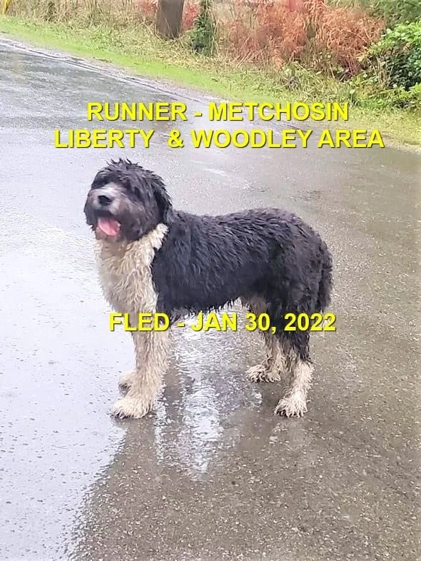 HAPPY ENDINGS - METCHOSIN BC. / JAN 30, 2022