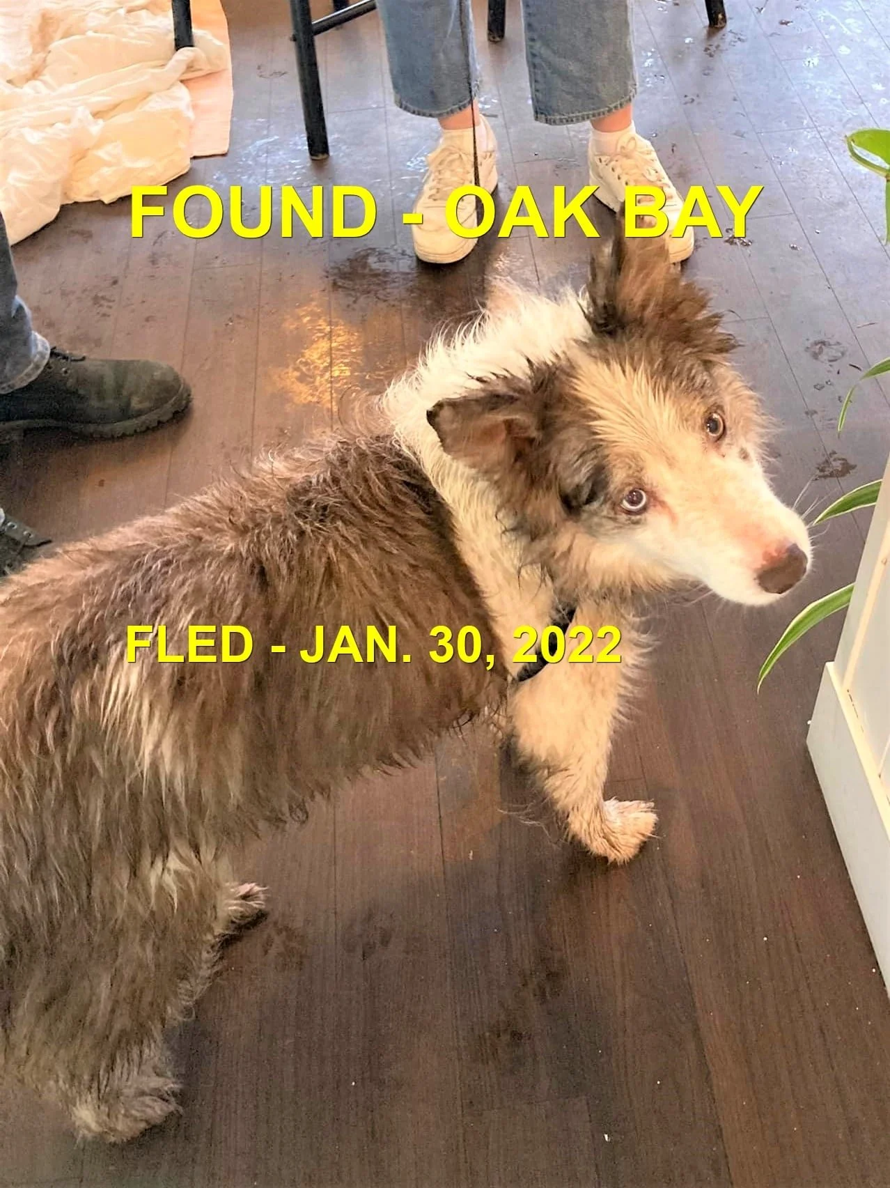 HAPPY ENDINGS - VICTORIA / OAK BAY BC. / SHILO / JAN 30, 2022