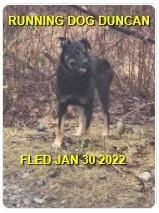 UNRESOLVED - DUNCAN BC / JAN 30, 2022