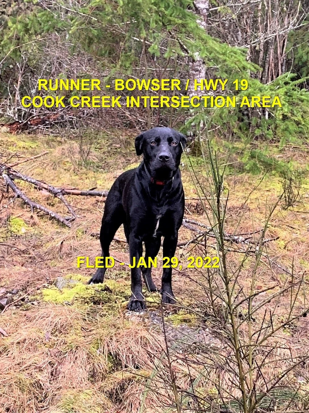 UNRESOLVED - BOWSER BC. / JAN. 29, 2022