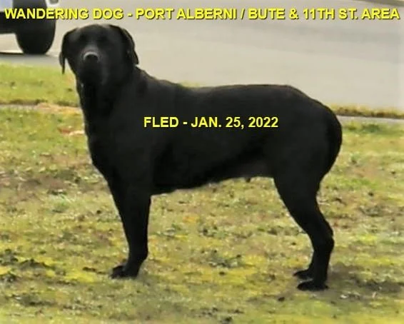 UNRESOLVED - PORT ALBERNI BC / JAN. 25, 2022