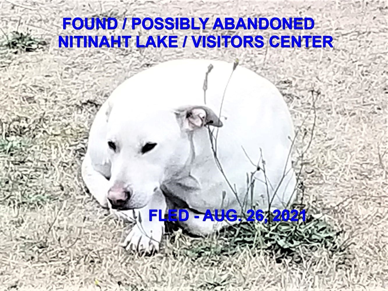 HAPPY ENDINGS - NITINAHT LAKE BC / AUG. 24, 2021