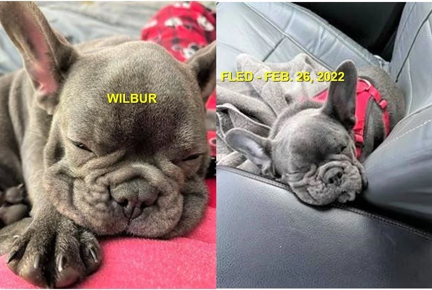 HAPPY ENDINGS - SAANICH BC / WILBUR / FEB. 26, 2022