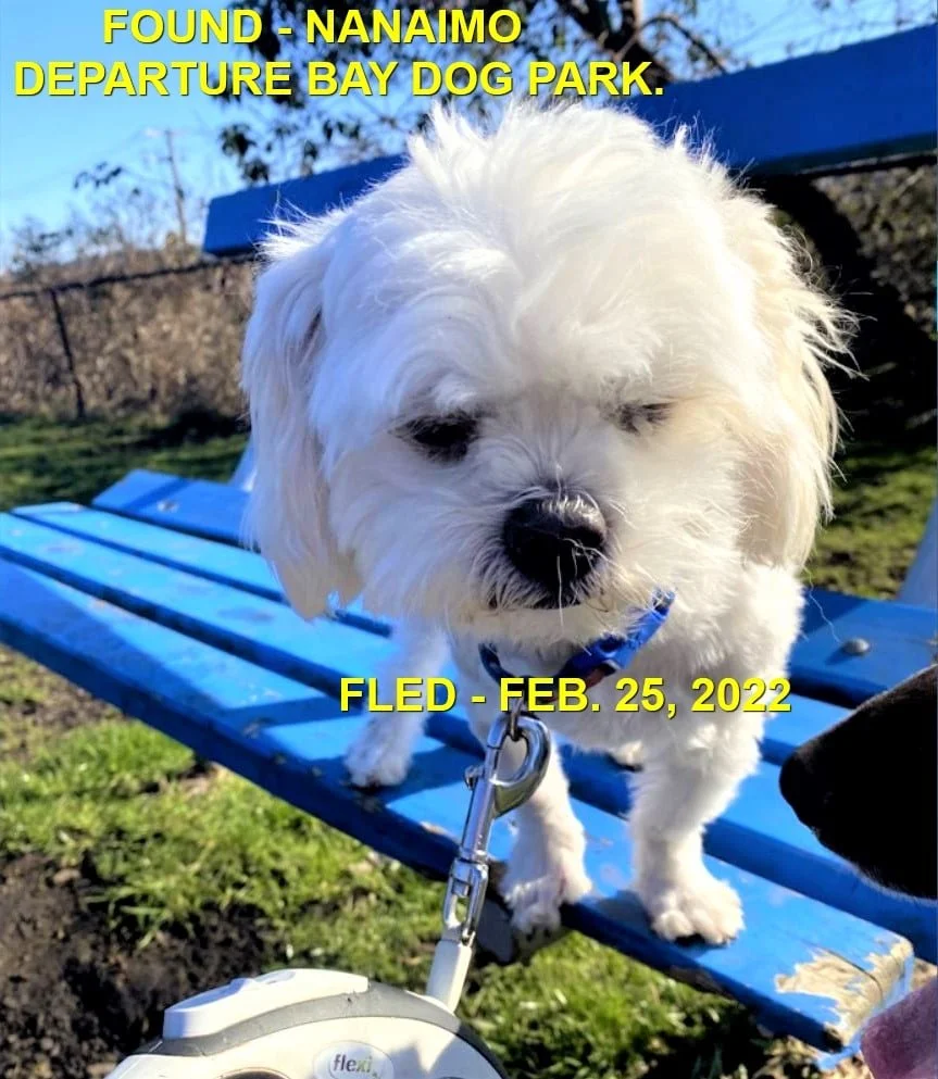 HAPPY ENDINGS - NANAIMO BC. / FEB. 25, 2022