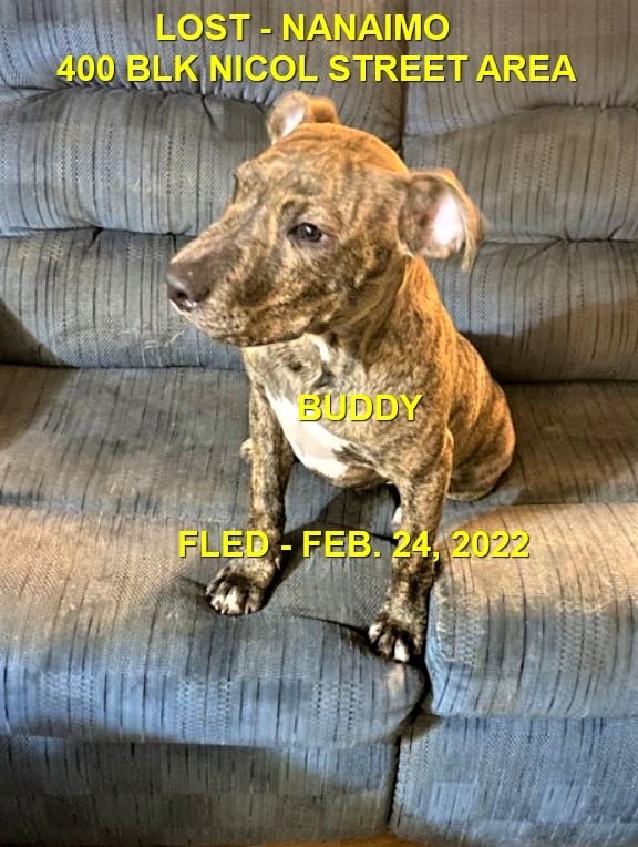 HAPPY ENDINGS - NANAIMO BC. / BUDDY / FEB. 24, 2022