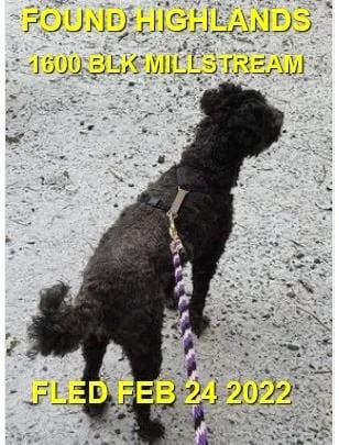 HAPPY ENDINGS - HIGHLANDS BC / FEB 24, 2022