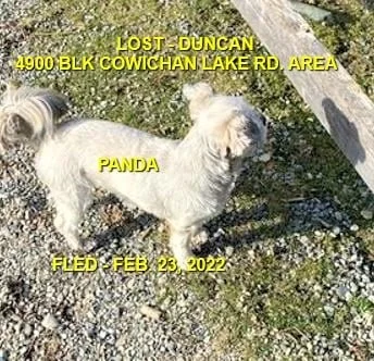 CAME HOME ON HER OWN - DUNCAN / PANDA / FEB. 23, 2022