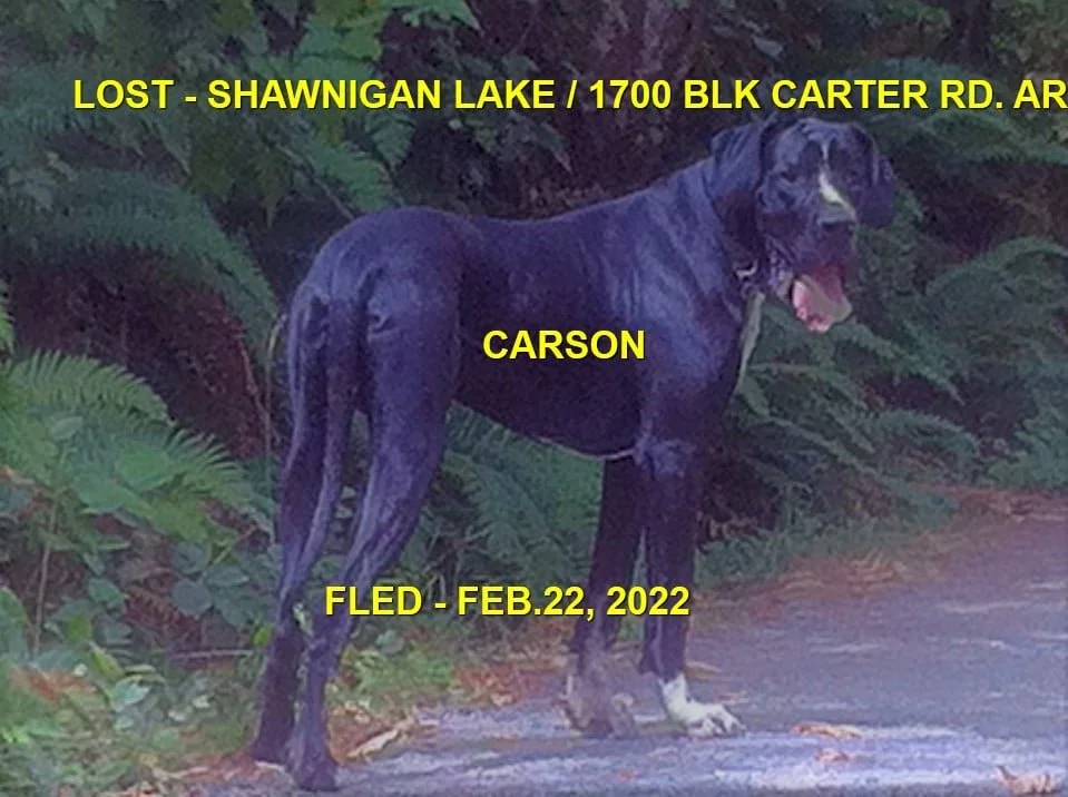HAPPY ENDINGS - SHAWNIGAN LAKE BC / CARSON / FEB 22, 2022