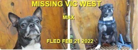 HAPPY ENDINGS - VICTORIA BC. / MAX / FEB. 21, 2022
