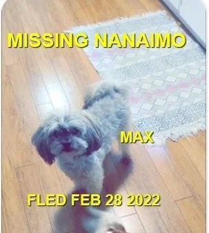 HAPPY ENDINGS - NANAIMO BC. / MAX / FEB 28, 2022