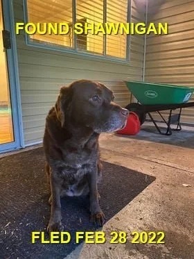 HAPPY ENDINGS - SHAWNIGAN LAKE BC. / MIA / FEB. 28, 2022