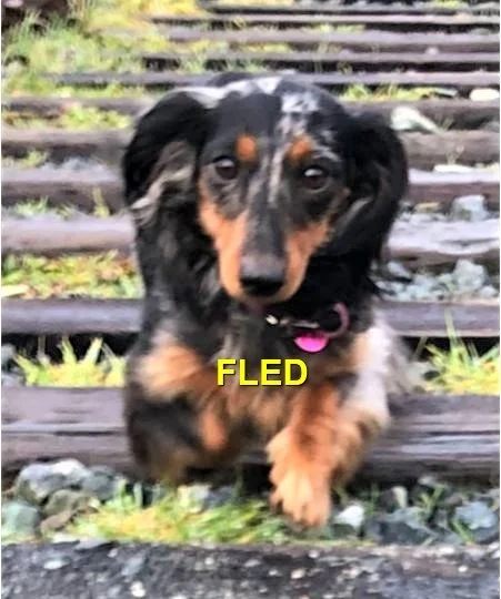 HAPPY ENDINGS - COBBLE HILL BC / EZME / MAR. 9, 2022