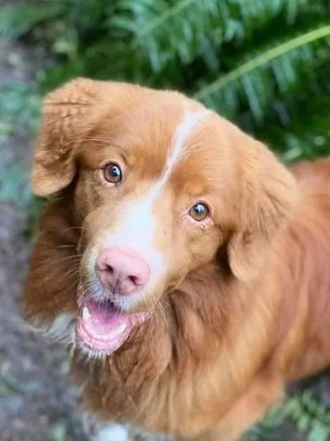 HAPPY ENDINGS - SOOKE BC. / ELI / MAR. 9, 2022