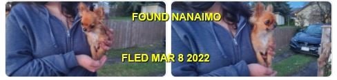 HAPPY ENDINGS / GONE TO SHELTER -NANAIMO BC. / MAR 8, 2022