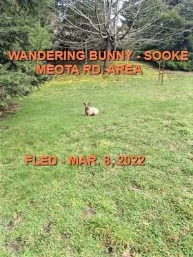 UNRESOLVED - SOOKE BC / BUNS / MAR. 8, 2022