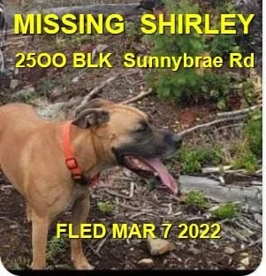 HAPPY ENDINGS - SHIRLEY BC. / CHASE / MAR. 7, 2022