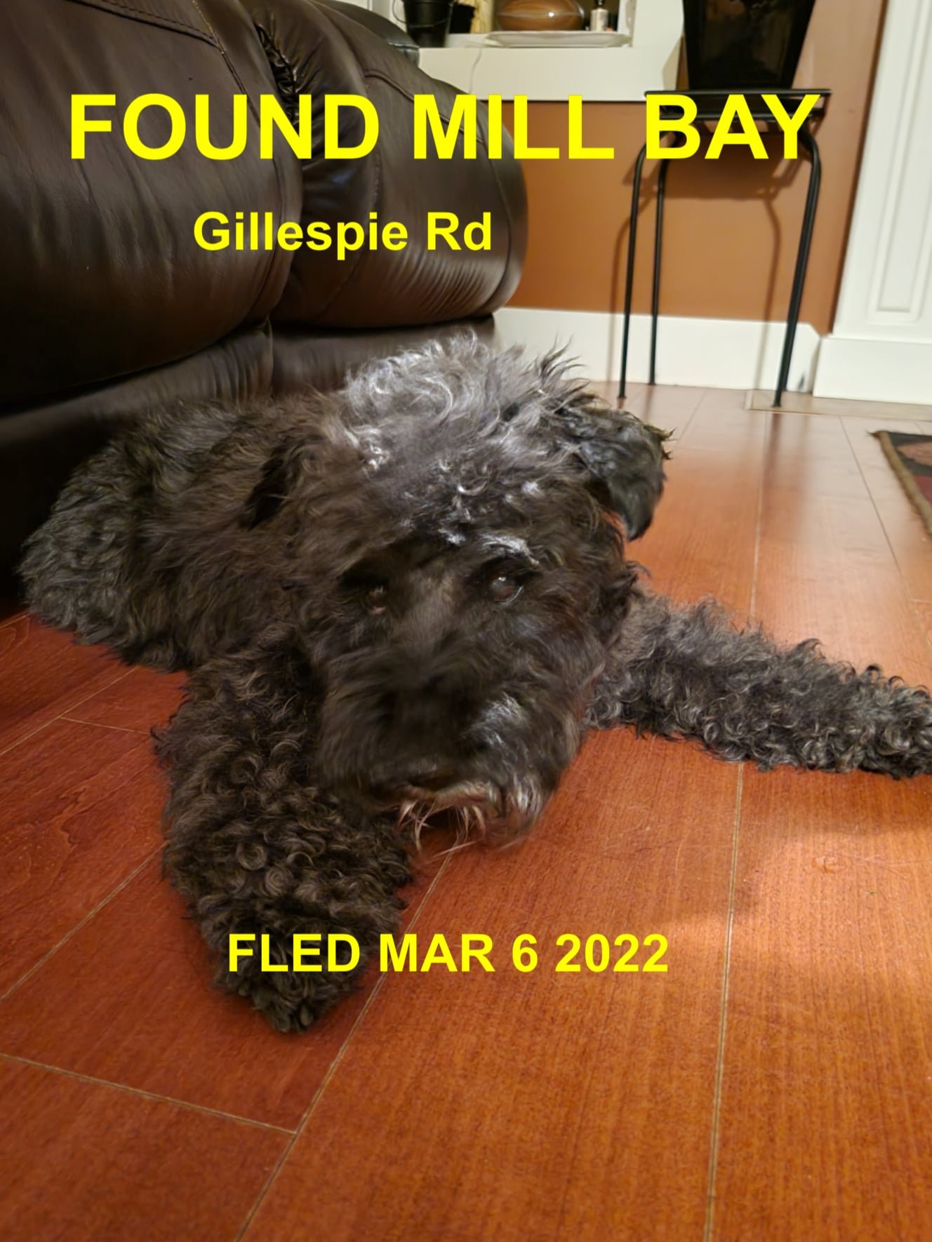 HAPPY ENDINGS - MILL BAY BC. / MAR. 6, 2022