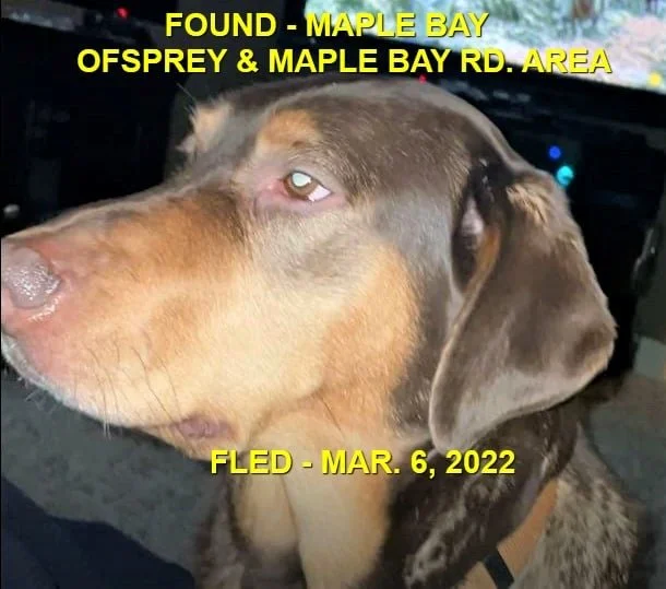 HAPPY ENDINGS - MAPLE BAY BC. / RILEY / MAR. 5, 2022