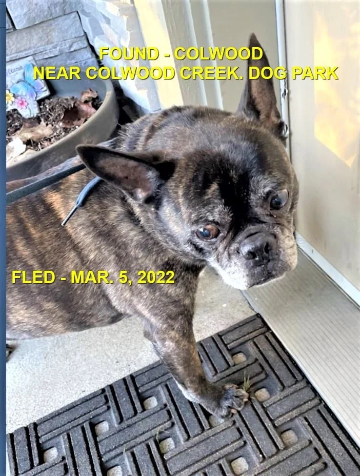 HAPPY ENDINGS - COLWOOD BC. / MAR. 5, 2022