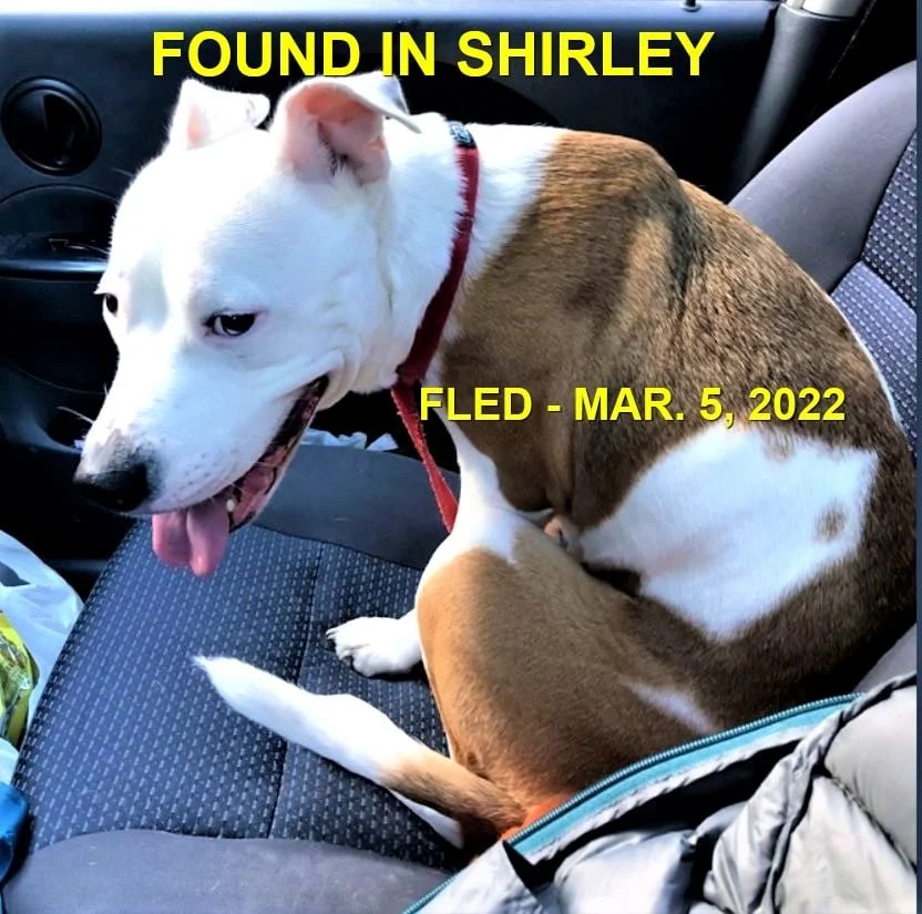 HAPPY ENDINGS - SHIRLEY BC. / MAR 5, 2022